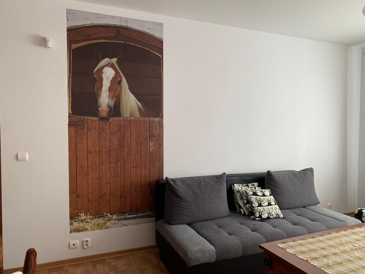 Zawsze Sloneczny Apartament Grzybowo Grzybowo  Exterior foto